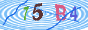 验证图片