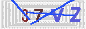 验证图片
