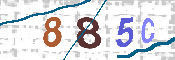验证图片