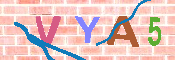 验证图片