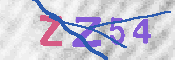 验证图片