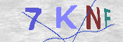验证图片