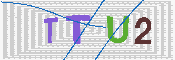 验证图片