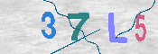 验证图片