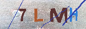 验证图片