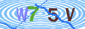 验证图片
